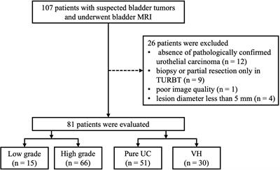 Assessment of pathological grade and variants of bladder cancer with a continuous-time random-walk diffusion model